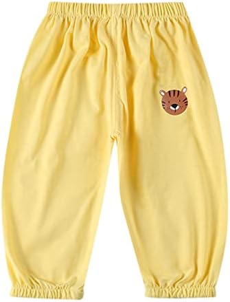 Premium Toddler Boys Cartoon Characters Boxy Pants