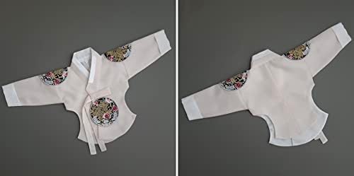 Korean Baby Girl Hanbok Dress for 10th Birthday More