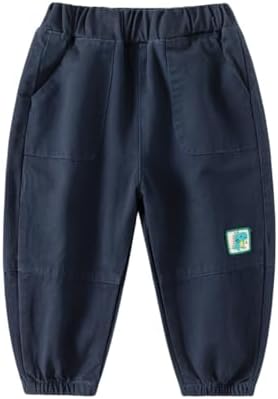 Irsutey Toddler Boys dinosaur Cotton Sweatpants