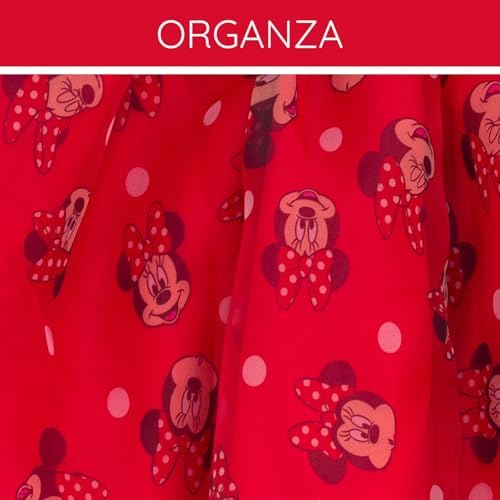 Disney Girls Square Neck Organza Dress 2T - 14-16