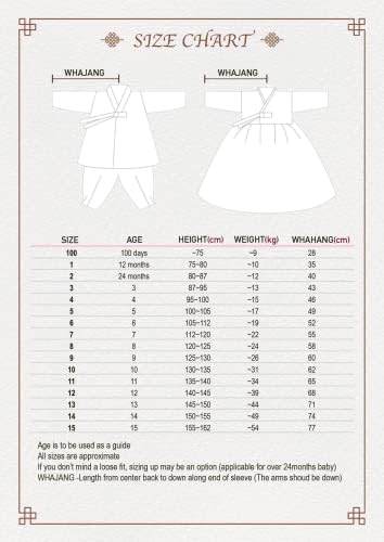 Korean Baby Girl Hanbok Set Traditional Dress for Special Occasions