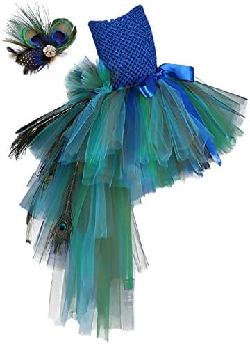 Tutu Dreams Fancy Peacock Feather Pageant Dress for Girls