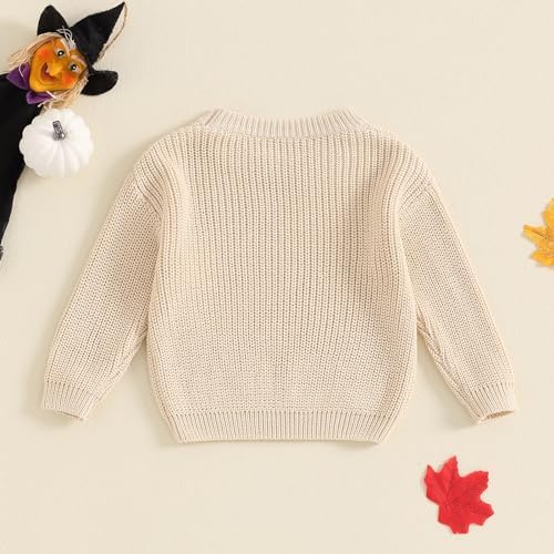 Halloween Toddler Outfit Knit Sweater Set