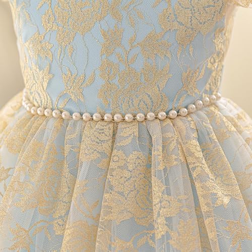Beessbest Flower Girl Lace Dress Ruffle Sleeve