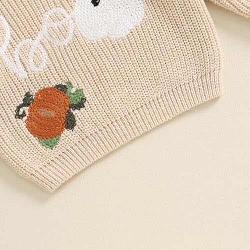 Halloween Toddler Outfit Knit Sweater Set