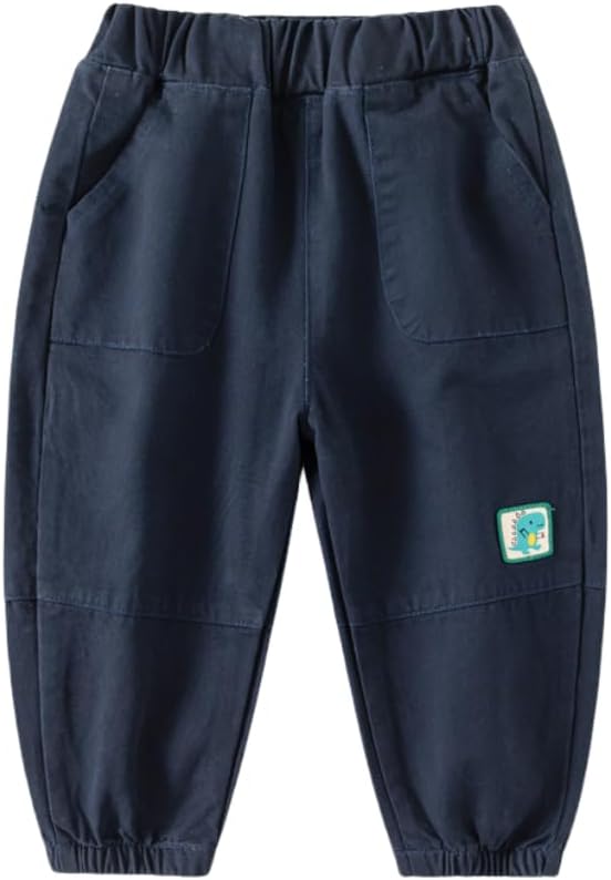 Irsutey Toddler Boys dinosaur Cotton Sweatpants