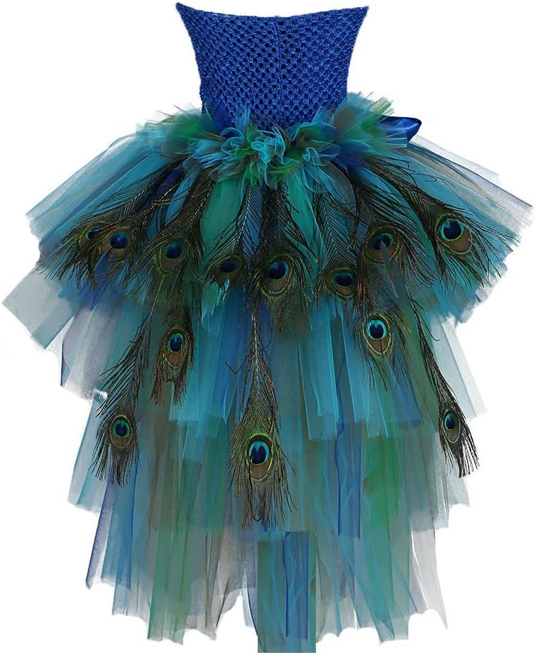 Tutu Dreams Fancy Peacock Feather Pageant Dress for Girls