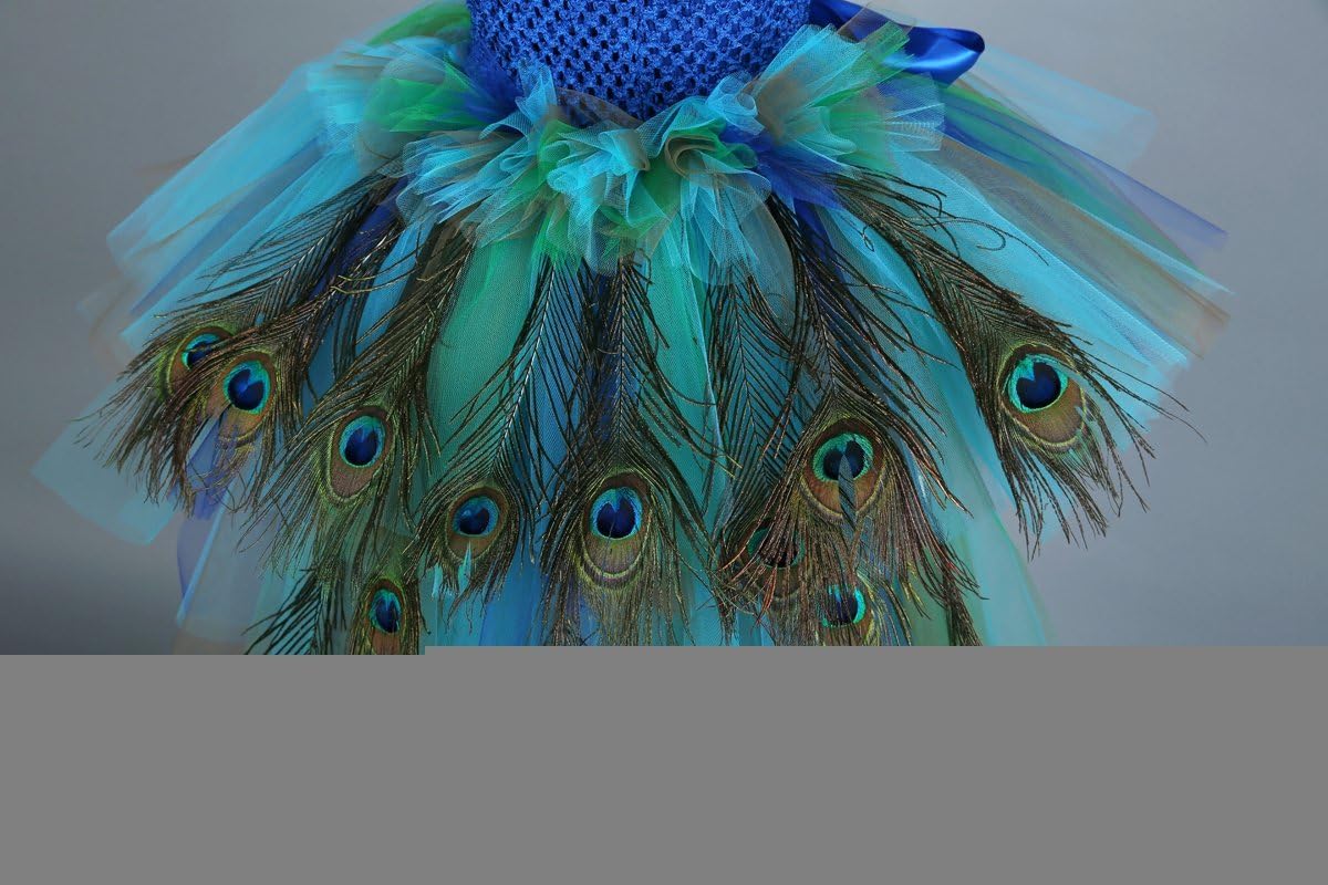 Tutu Dreams Fancy Peacock Feather Pageant Dress for Girls
